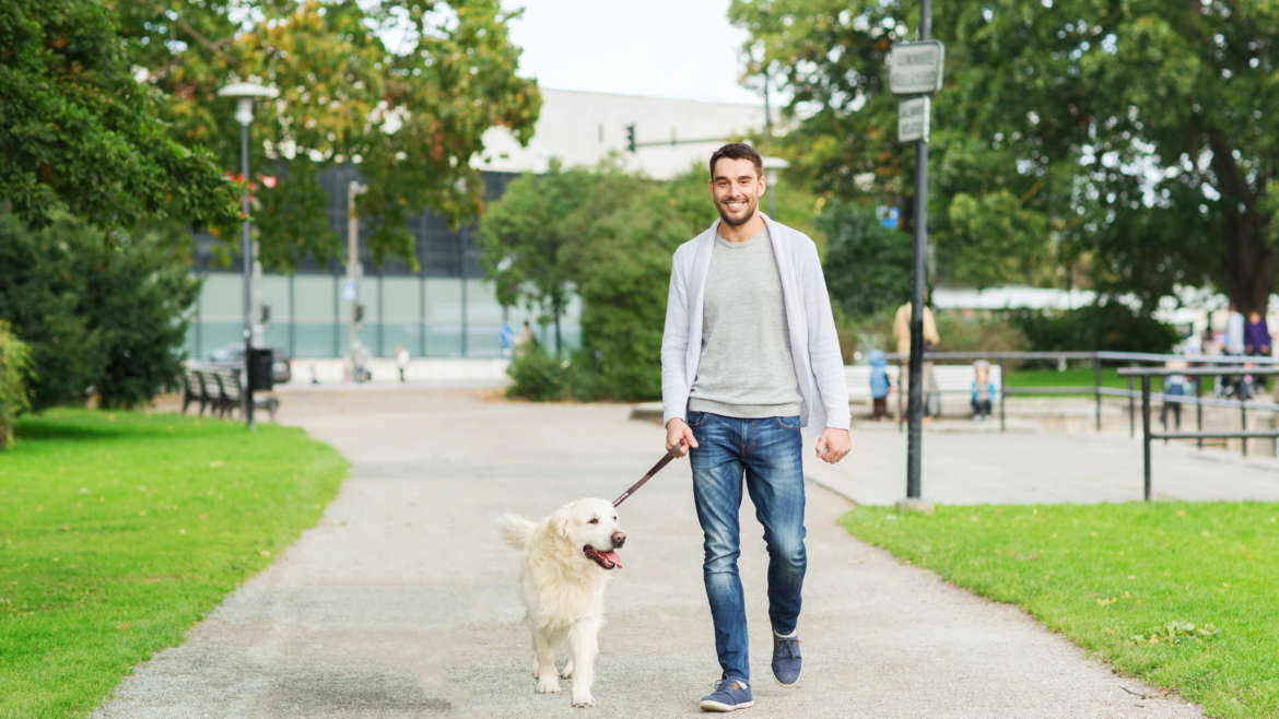 guy walking a dog